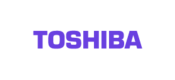 Модулі (матриця з тачскрином) для планшетів Toshiba